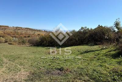 Teren intravilan de vanzare 44 ari - Budacul de Jos - 2
