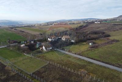 Teren 19.375 mp Dâmbu Rotund. Potențial rezidențial. Extravilan - 6