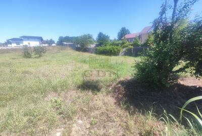 Teren Construcții intravilan de 590 mp, în Malu Mare