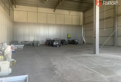 Spațiu industrial, de 377.00 mp, în Șagului