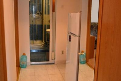 PACURARI POSTA LA STRADA 2 CAMERE DECOMANDAT ET.1 MOBILAT SI UTILAT COD 163407 - 4