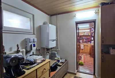Casa Bacia, judet Hunedoara - 19