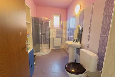 Casă cu 5 camere de vânzare Cartier Orizont 2 Paleu zona Metropolitana - 19