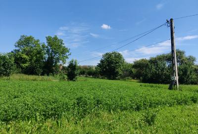 Casa la 5 km de Targu-Neamt - cu iaz si livada matura - gata pentru mutat - 15