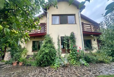 Sighișoara - Pensiune pe un domeniu de 8000 mp - 2