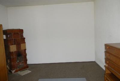 Proprietate cu 2 hale si casa la inchiriat,teren 1350mp - 20