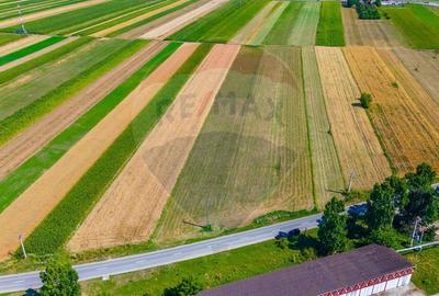TEREN extravilan- 6 E/MP- CU PLANTATIE DE TRANDAFIRI! Teliu 7000mp - 2
