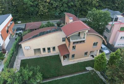 Reprezentare exclusivă · Casa dintre magnolii, Făget · 1.343 mp lângă pădure - 34