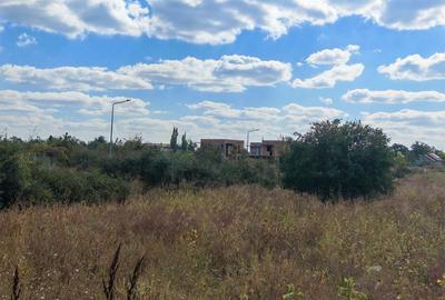 5.900 mp pentru Dezvoltare Rezidențială – Str. Polonă, Periș - 2