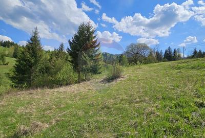 Teren 4048mp Campulung Moldovenesc, Strada Izvorul Alb, Suceava - 19