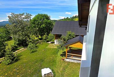 Cabana cu 7 camere de vanzare in Albac - V10073 - 20