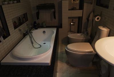 Duplex Gavana D+P+E+M, teren 500mp, garaj - 17