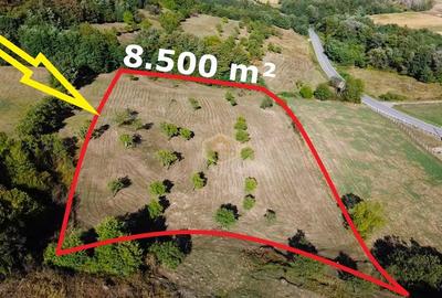 VIDEO | Super view | Teren 8.500 m² in Maramures | Viitorul tau colt de liniste - 4