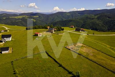 Teren 1003 mp în Păltiniș | Priveliște panoramică către munți - 2