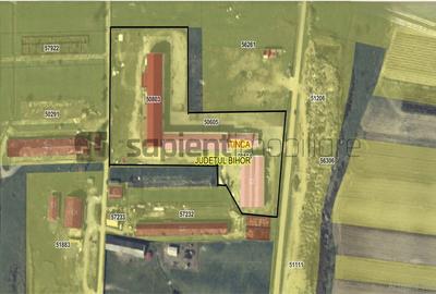 Proprietate industrială  Platformă logistică de vânzare în Tinca - 1