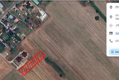 Teren Construcții intravilan de 10000 mp, în Dascălu