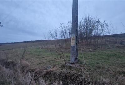 De vanzare teren 1,2 Ha in Laureni - 5