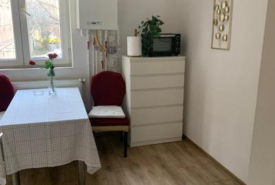 Apartament 2 camere Doamna Ghica - Parcul Tei - Strada Brasoveni 31 - Centrala - 2
