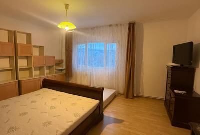 Apartament de închiriat, 4 camere, 94 mp, Plopilor zona Parcul Iuliu Hațieganu - 18