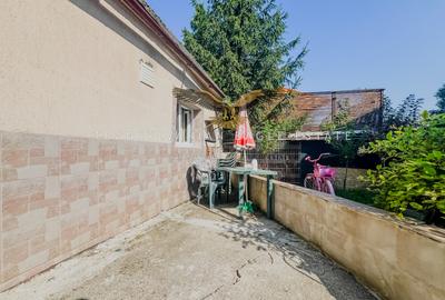 Pet friendly|Apartament primitor situat la vila in Andrei Muresanu - 11