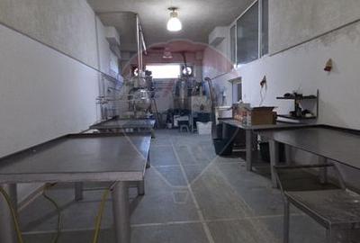 Complex multifunctional-Business & Logistic Campus-Spațiu industrial - 25