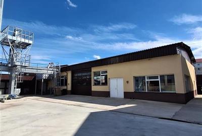 FABRICA DE ULEI AFACERE LA CHEIE DE VANZARE - 5