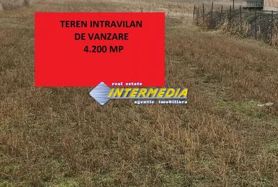 Teren Construcții intravilan de 4200 mp, în Cetate