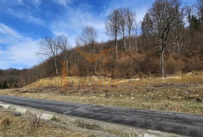 Teren agricol intravilan de 3200 mp, în Cheile Râșnoavei
