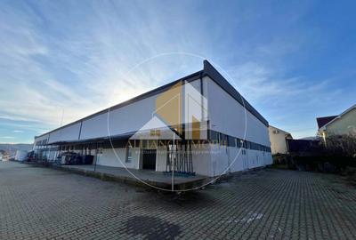Spațiu industrial cu utilizare mixtă(producție ,depozit, birouri) – de închiriat - 2