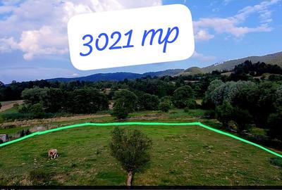 Teren agricol extravilan de 3021 mp, în Șinca Nouă