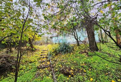 Teren 2200 mp + Casă, sat Frasinu, Giurgiu - 4