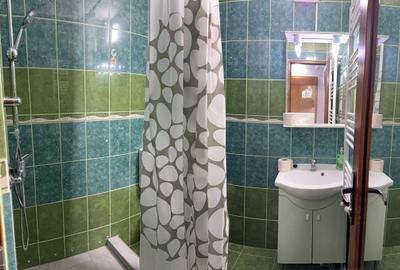 De închiriat apartament cu 1 cameră – zona Ceradent - 8