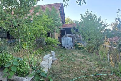 Vand casa in Deva, zona Viile Noi, suprafata  de teren de 766 mp, - 2