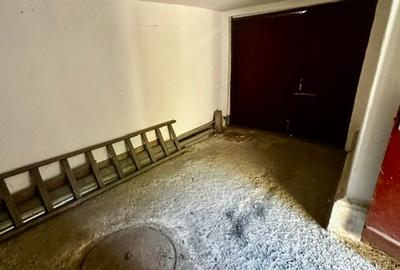 Vila individuala cu 4 camere, garaj in zona Floreasca- Barbu Vacarescu - 19