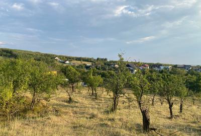 Teren Construcții intravilan de 15380 mp, în Nord