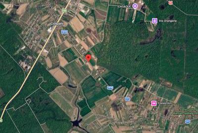 Teren intravilan 3.106 mp,  Izvorani, deschidere 148 ml la str. Complex Olimpic - 9