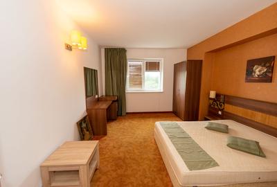 țApartament cu 2 camere de vanzare, Rin Grand Hotel, Vitan - 3