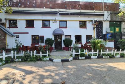 Restaurant, Delfinului, parc Ostrov - 17