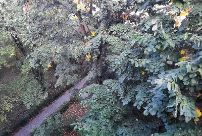 De vanzare apartament cu 2 camere, Tg. Mures, Zona Cornisa, UMF - 11