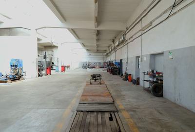 Hală industrială 1.168 mp | Adjud | Producție • Service • Logistică - 3