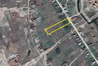 Teren Construcții intravilan de 6000 mp, în Caraorman