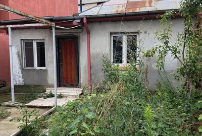 Piața Progresului – Drumul Găzarului | Zonă exclusiv de case și vile - 1