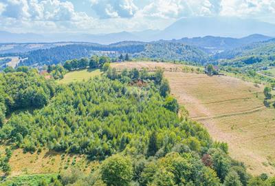 Teren agricol extravilan de 3906 mp, în Poiana Mărului
