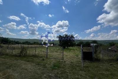 Teren de vânzare 2.531 mp Centrul satului Poieni, Priveliste spre padure - 4