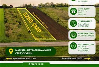 Macesti jud. CS - Teren extravilan de vanzare - la doar 26 metri de Dunare - 1