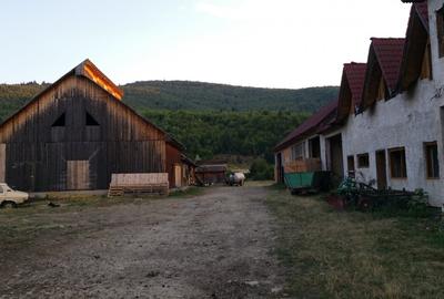 Proprietar vand Imobil in com. Ghelinta, jud. Covasna - 8