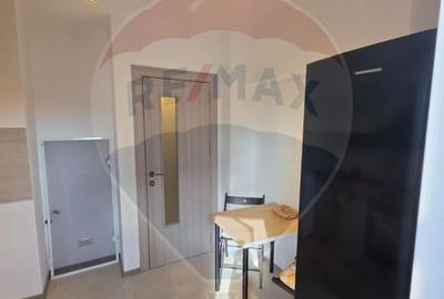 Apartament cu 1 camere de închiriat în zona Iancului - 11
