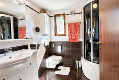 Vila de lux 310 mp construiti, cu piscina 40mp, Bucium Iasi, 1500mp teren, garaj foisor livada - 49