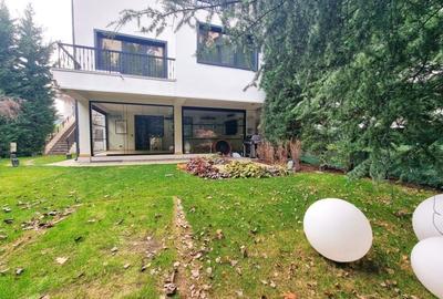 Vila Iancu Nicolae - 13