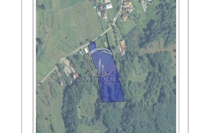 Teren pretabil investitie ~ Magura/BZ ~ S=7300mp ~ acces faci DN10 - 3